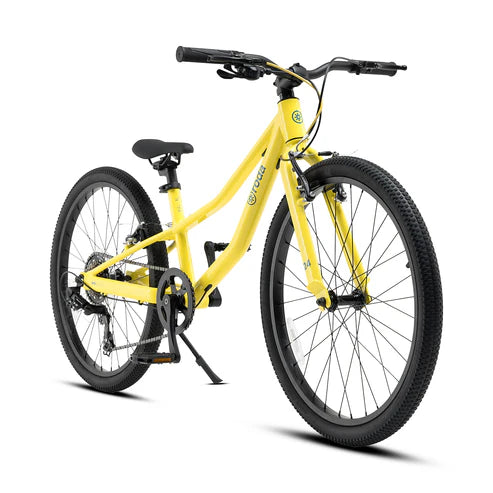 BICICLETARODA PRO ARO 24 v4